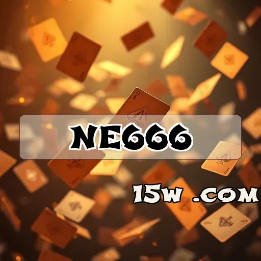 ne666.com VIP